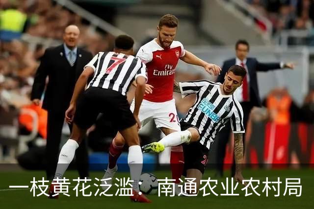 一枝黄花泛滥：南通农业农村局“看不见”，还是装瞎？