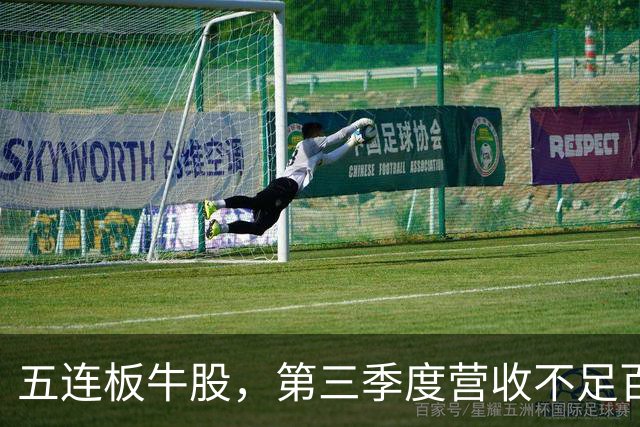 五连板牛股，第三季度营收不足百万，跌停开盘