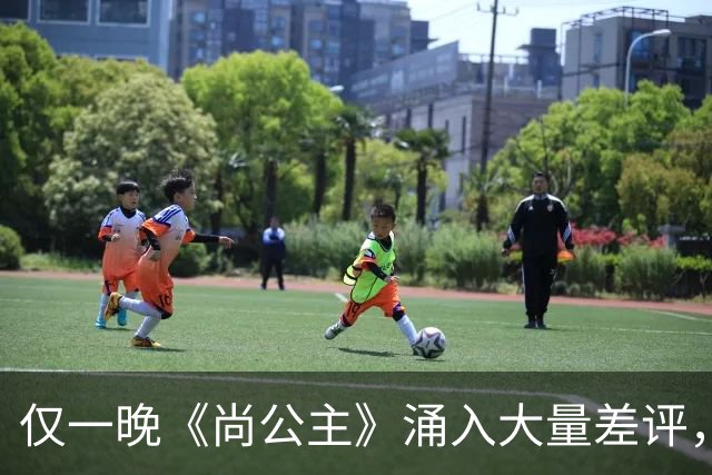仅一晚《尚公主》涌入大量差评，3大问题，让它成不了公认好剧