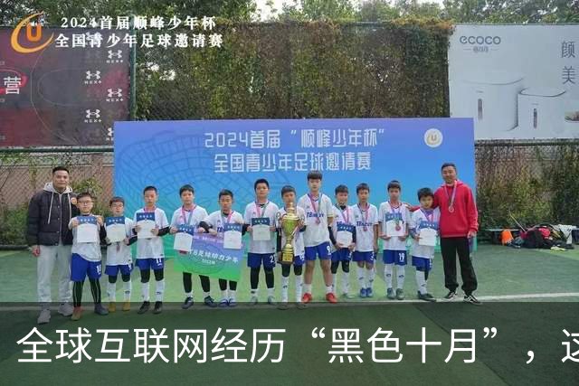 全球互联网经历“黑色十月”，这个中国AI在风暴来临前留了后手