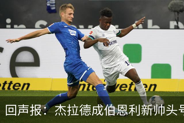 回声报：杰拉德成伯恩利新帅头号热门，当前赔率4/1
