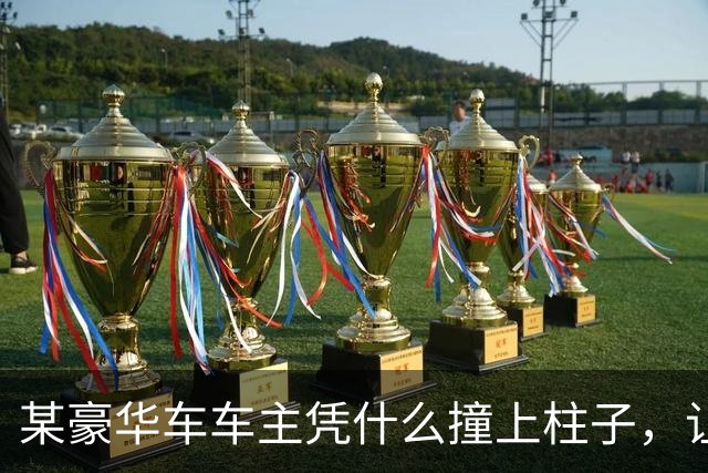 某豪华车车主凭什么撞上柱子，让车几秒钟起火，谁给他撞车的权利