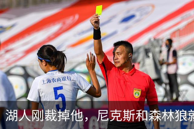湖人刚裁掉他，尼克斯和森林狼就盯上了