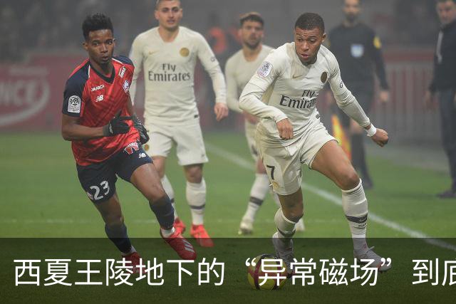 西夏王陵地下的“异常磁场”到底是什么？真相让人大跌眼镜