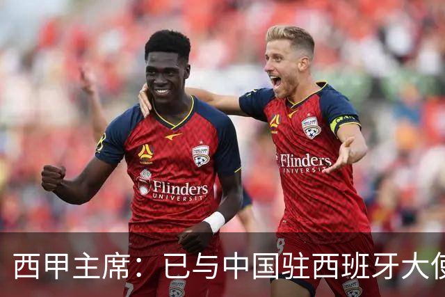 西甲主席：已与中国驻西班牙大使会面 寻求解决办法