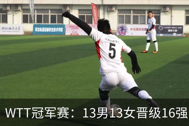 WTT冠军赛：13男13女晋级16强！国乒8人日本4人，张本智和一轮游
